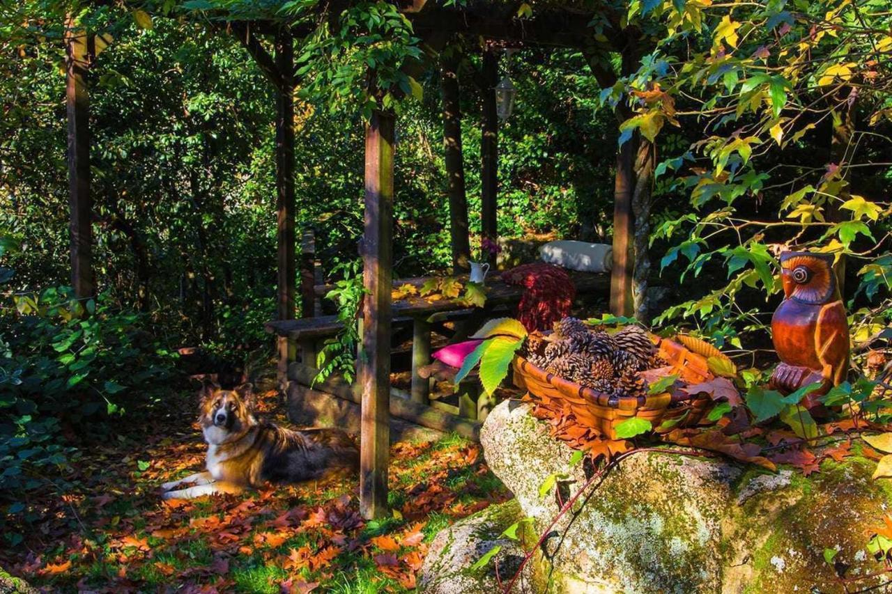 Cas Do Mestre Casa Rural Con Encanto 庞特维德拉 外观 照片